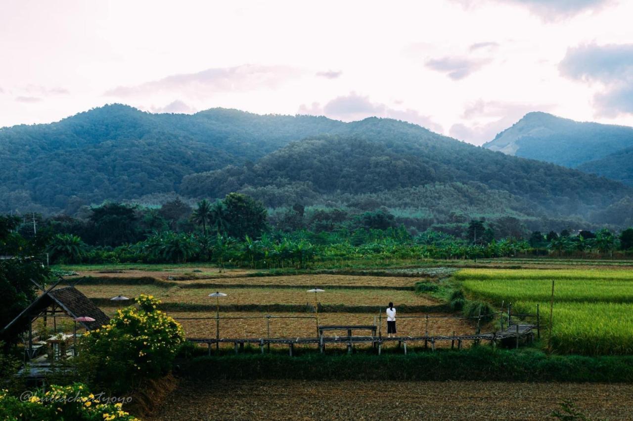 Bantaphan Homestay Nan Ngoại thất bức ảnh